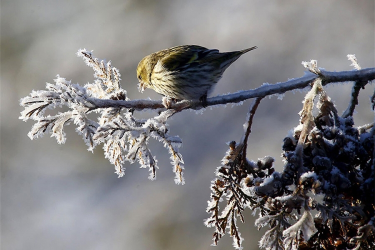 VRIJEME: Prohladno i sunčano