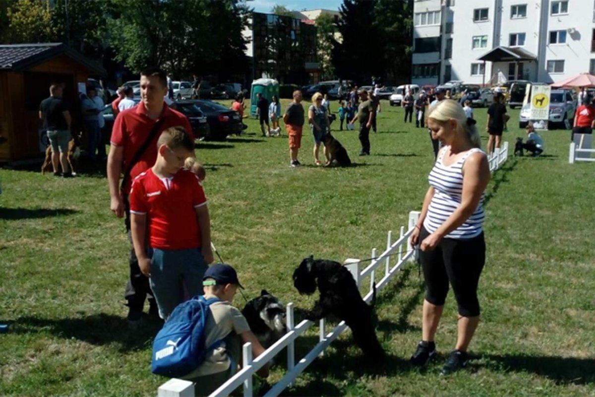 DOBOJ: Korona napunila dvorišta i stanove psima
