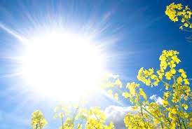 VRIJEME: Sunčano i ugodno toplo, temperatura do 26 stepeni