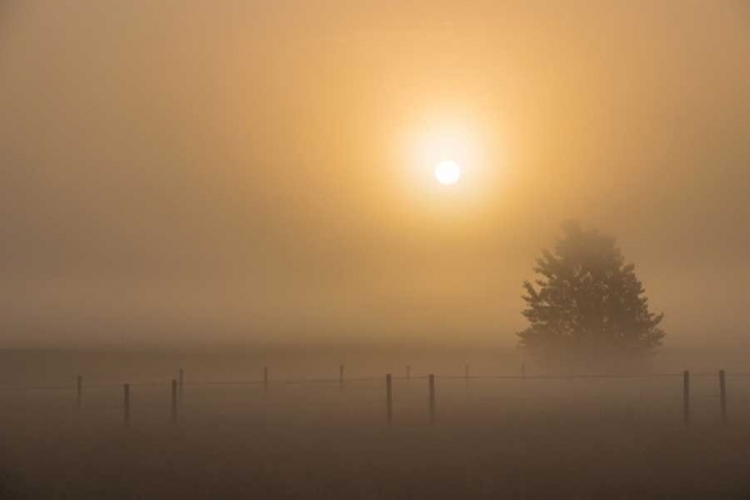 VRIJEME: Oblačno uz sumaglicu, večeras naoblačenje i snijeg