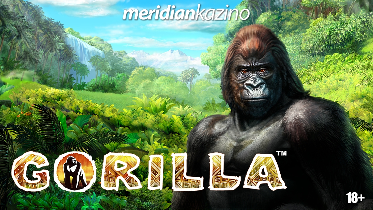 Meridian Kazino: Gorilla – čuvar džungle čuva i veliko blago!