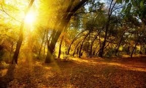 VRIJEME: Sunčano uz umjerenu oblačnost i prijatno toplo