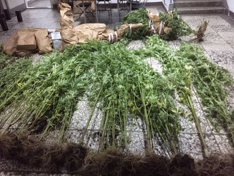 DOBOJ: Pretresi na tri lokacije, pronađeni droga i oružje (FOTO)