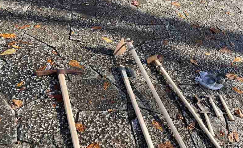 Ne treba nam kuka ni motika kad je SIPA tu