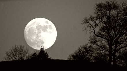 SLUČAJ IZ 1927: Porodica vukodlaka kod Doboja