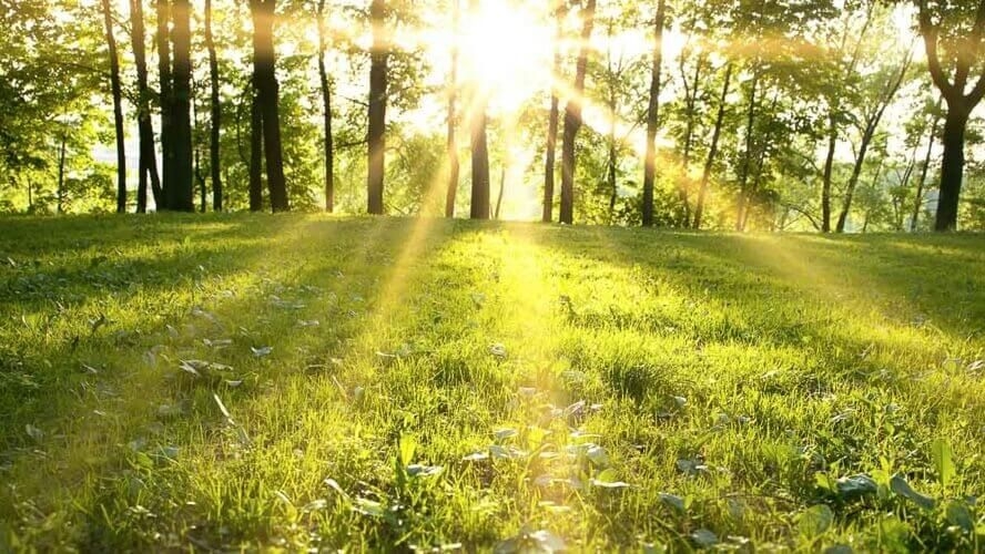 VRIJEME: Sunčano i prijatno stabilno proljećno vrijeme