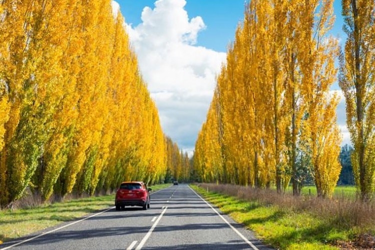 PUTEVI: Kolovozi suvi, smanjena vidljivost