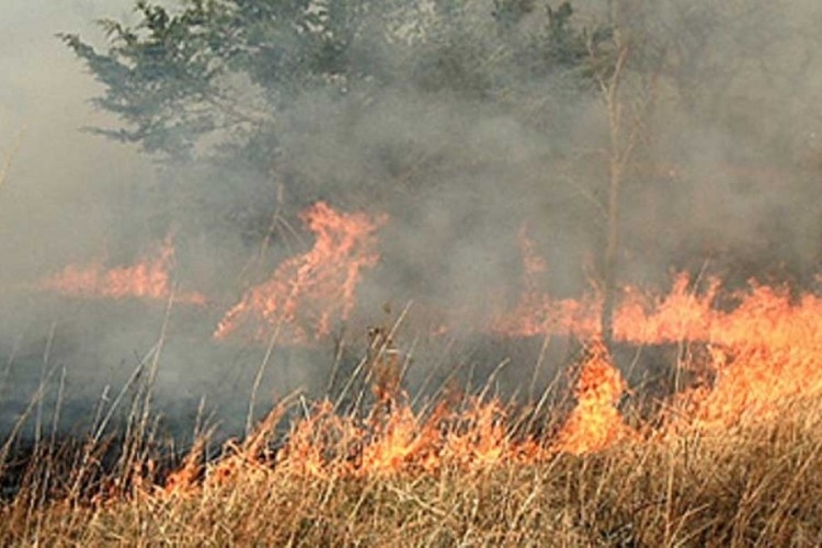 DOBOJ: Jedna osoba smrtno stradala prilikom paljenja korova