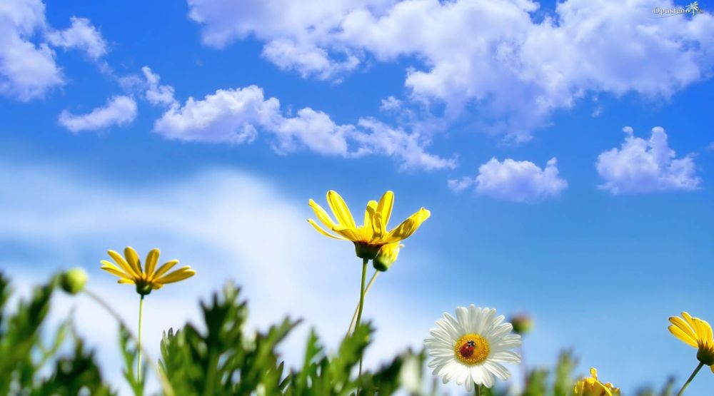 VRIJEME: Danas pretežno sunčano, temperatura do 21 stepen