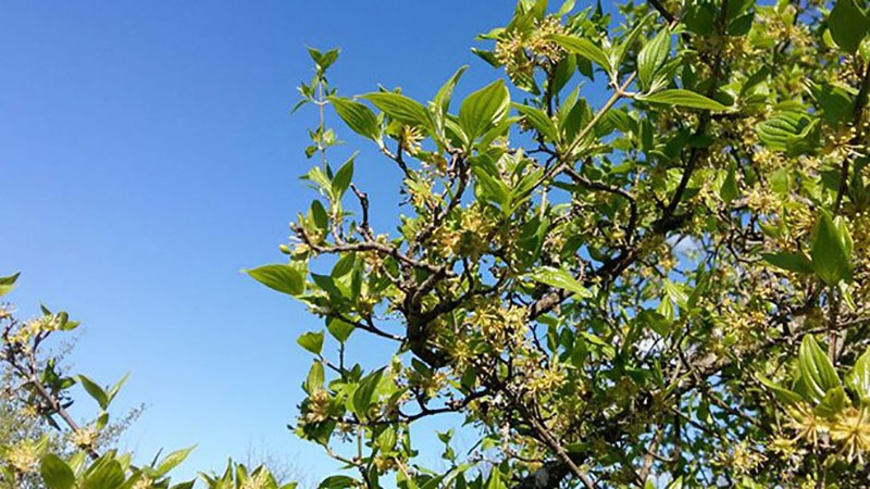 VRIJEME: Danas sunčano, ali svježije