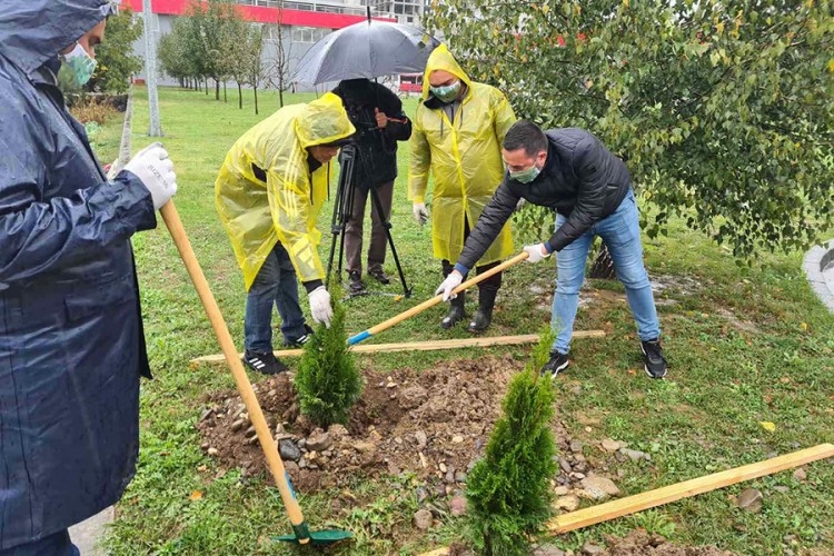 DOBOJ: Grad bogatiji za 590 sadnica