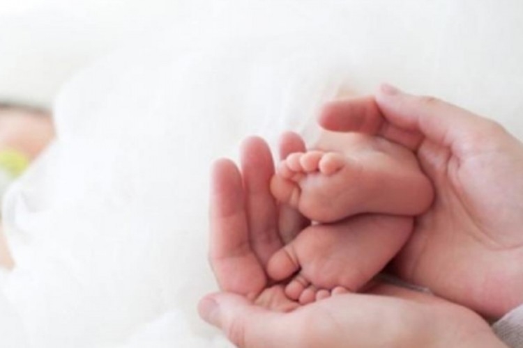 DOBOJ: Za novorođenu djecu na poljoprivrednim gazdinstvima po 500 KM