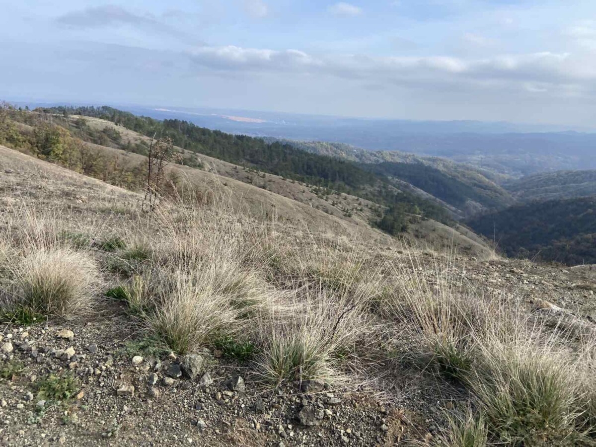 VRIJEME: Danas toplije nego prethodnih dana