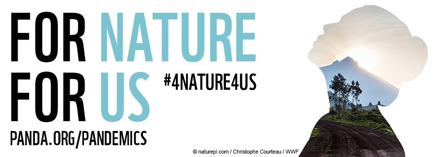 WWF-ov Izvještaj o stanju planeta otkriva da su populacije divljih vrsta od 1970. godine u prosjeku smanjene za dvije trećine