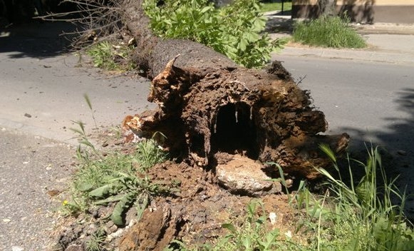 PUTEVI: Oprez zbog odrona na dionicama kroz usjeke