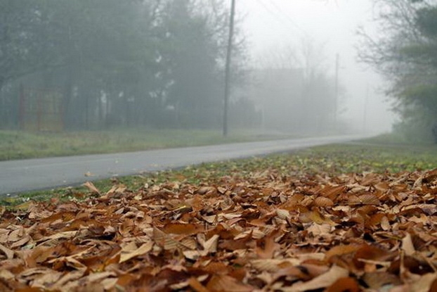 VRIJEME: Danas pretežno vedro i prohladno