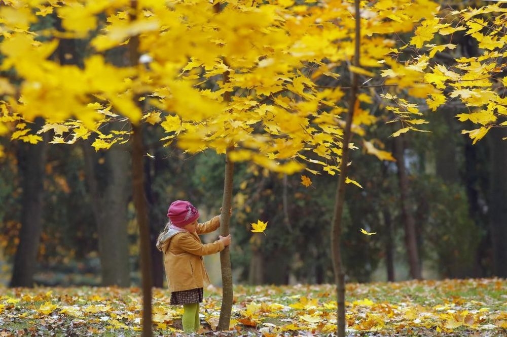 VRIJEME: Danas veoma toplo, poslije podne moguća kiša