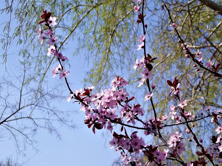 VRIJEME: Danas veoma toplo, tremperatura i do 27 stepeni