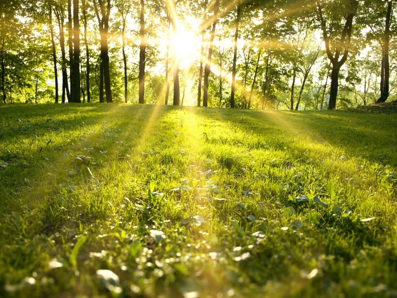 VRIJEME: Sunčano uz promjenljivu oblačnost