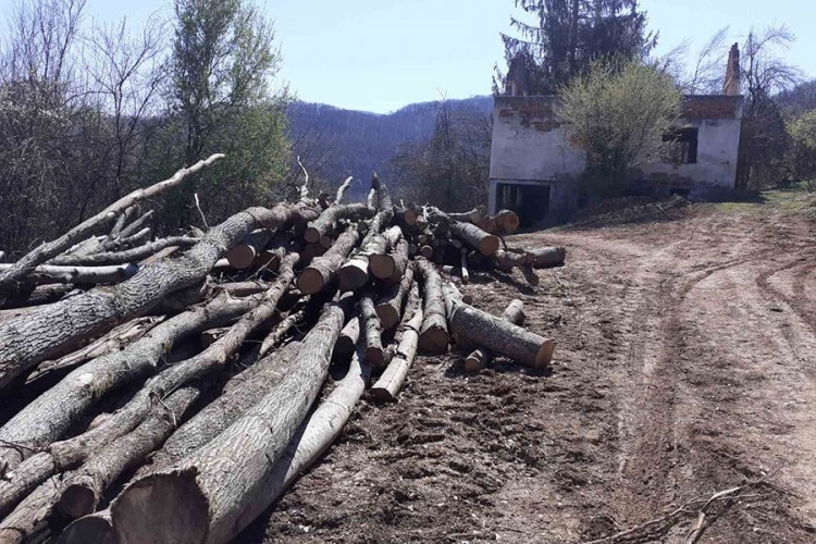 DOBOJ: Uhvaćen tokom šumske krađe