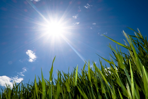 VRIJEME: Sunčano i toplo, popodne naoblačenje