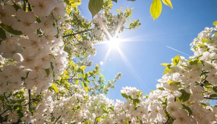 VRIJEME: Danas sunčano, popodne moguća kiša