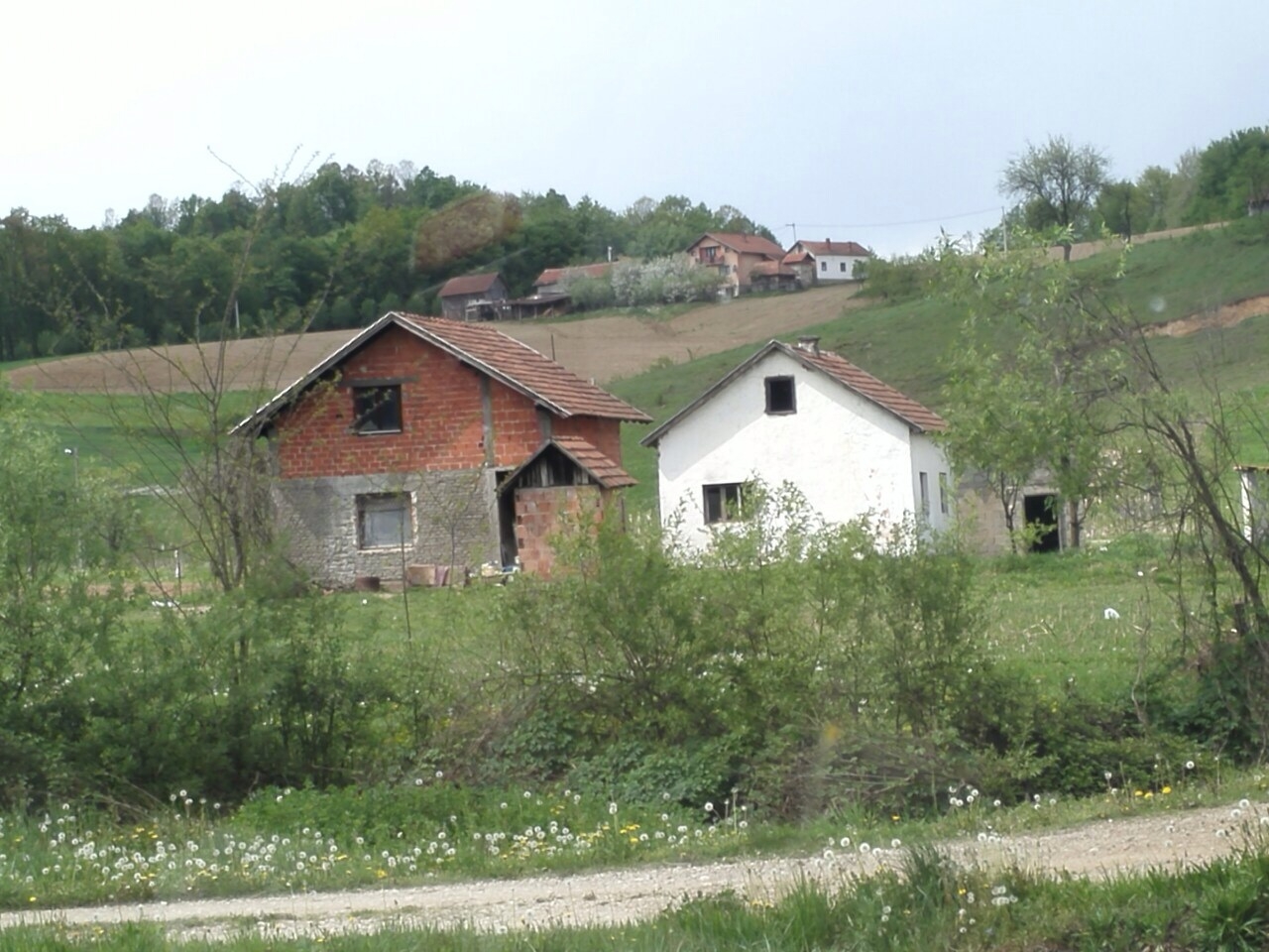 DOBOJ: Silovana devojčica prebačena u Srbiju