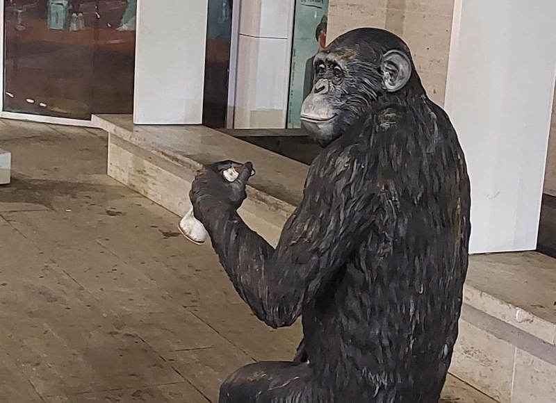 Evo nama spasa, evo kandidata!