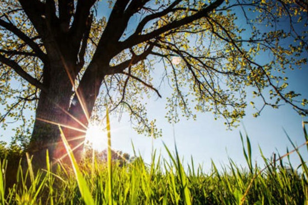 VRIJEME: Natprosječno toplo, poslije podne naoblačenje sa kišom