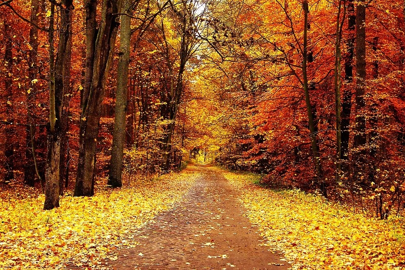 Kakvo nas vrijeme očekuje za vikend