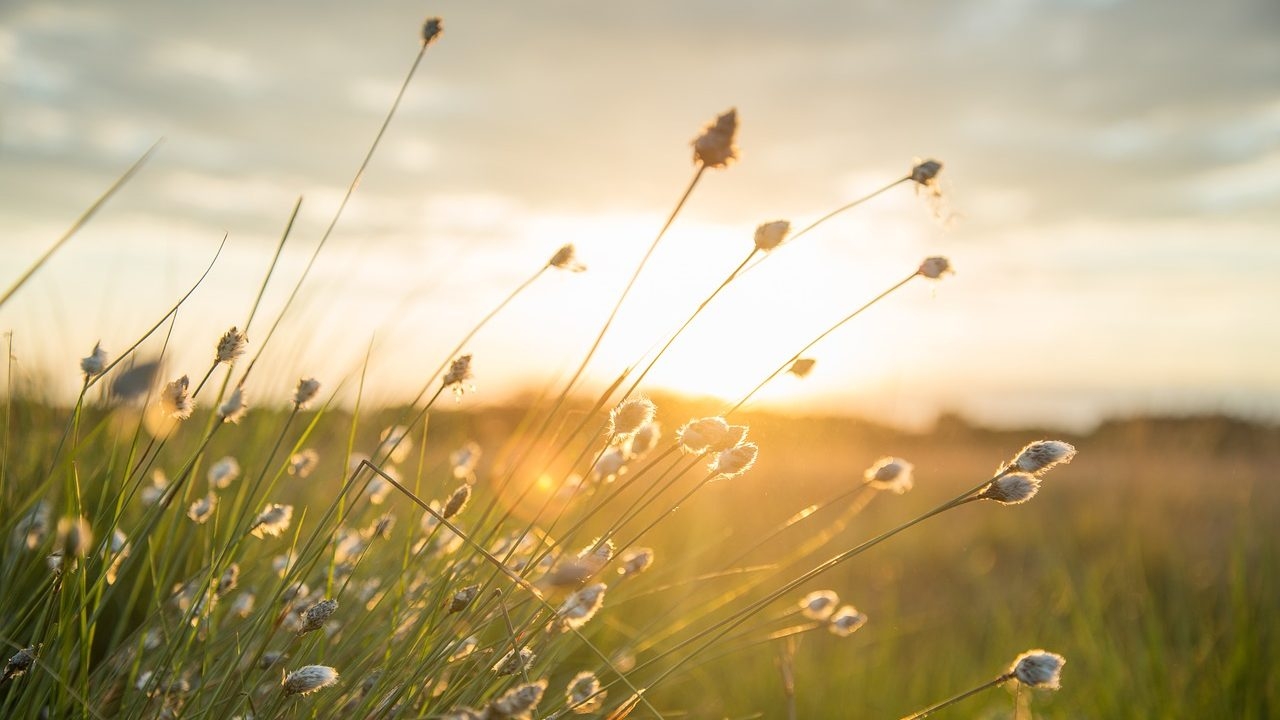 VRIJEME: Danas pretežno sunčano, na jugu moguća kiša