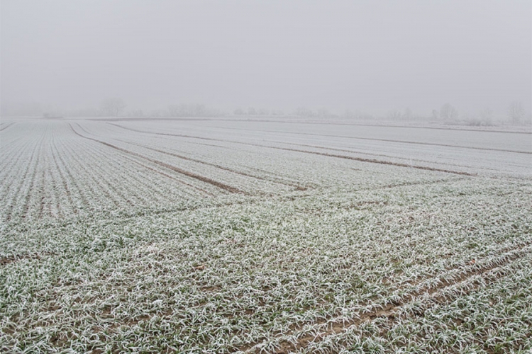 VRIJEME: Prohladno i pretežno sunčano