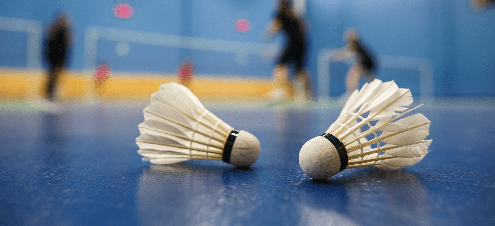 UPIS NOVIH ČLANOVA U BADMINTON KLUB SERTINI – Besplatan prvi mjesec treninga