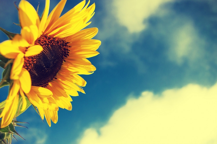 VRIJEME: Sunčano i veoma toplo, kasno popodne naoblačenje