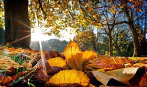 VRIJEME: Danas pretežno oblačno i sunčano, ponegdje kiša