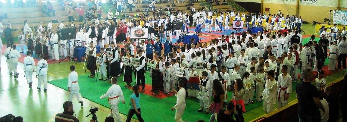 DOBOJSKI INFO NAJAVLJUJE: Karatisti "Vile" odlaze na takmičenje u Kranj