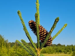 VRIJEME: U prvom dijelu dana toplo i sunčano, kasnije naoblačenje