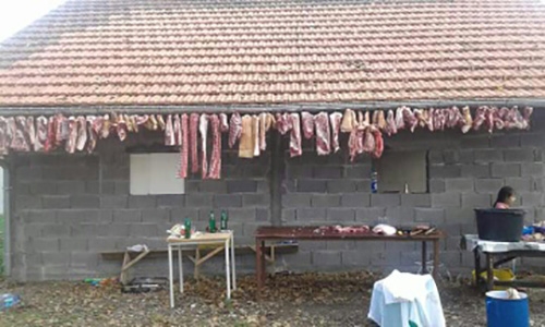 PRIČA SA SELA: Svinjokolj u Osječanima (FOTO)