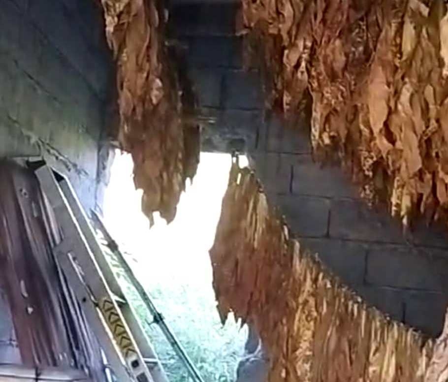 DOBOJ: Oduzeta 63,3 kilograma duvana u listu