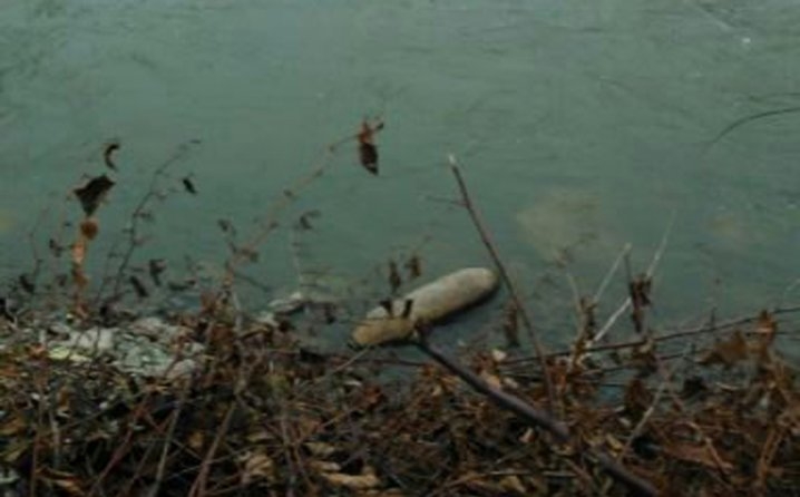 DOBOJ: Uspješno uklonjena avio-bomba (VIDEO)