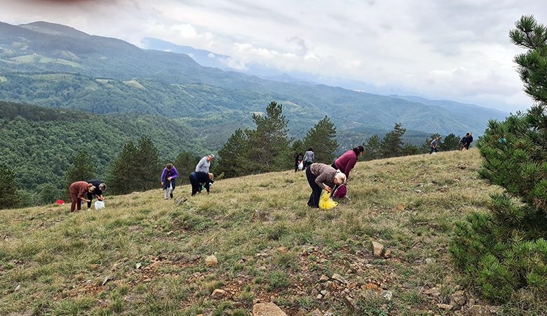 DOBOJ: Veliki broj ljudi na branju trave ive na Ozrenu