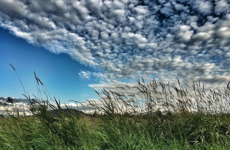 VRIJEME: Pretežno sunčano, na sjeveru oblačno