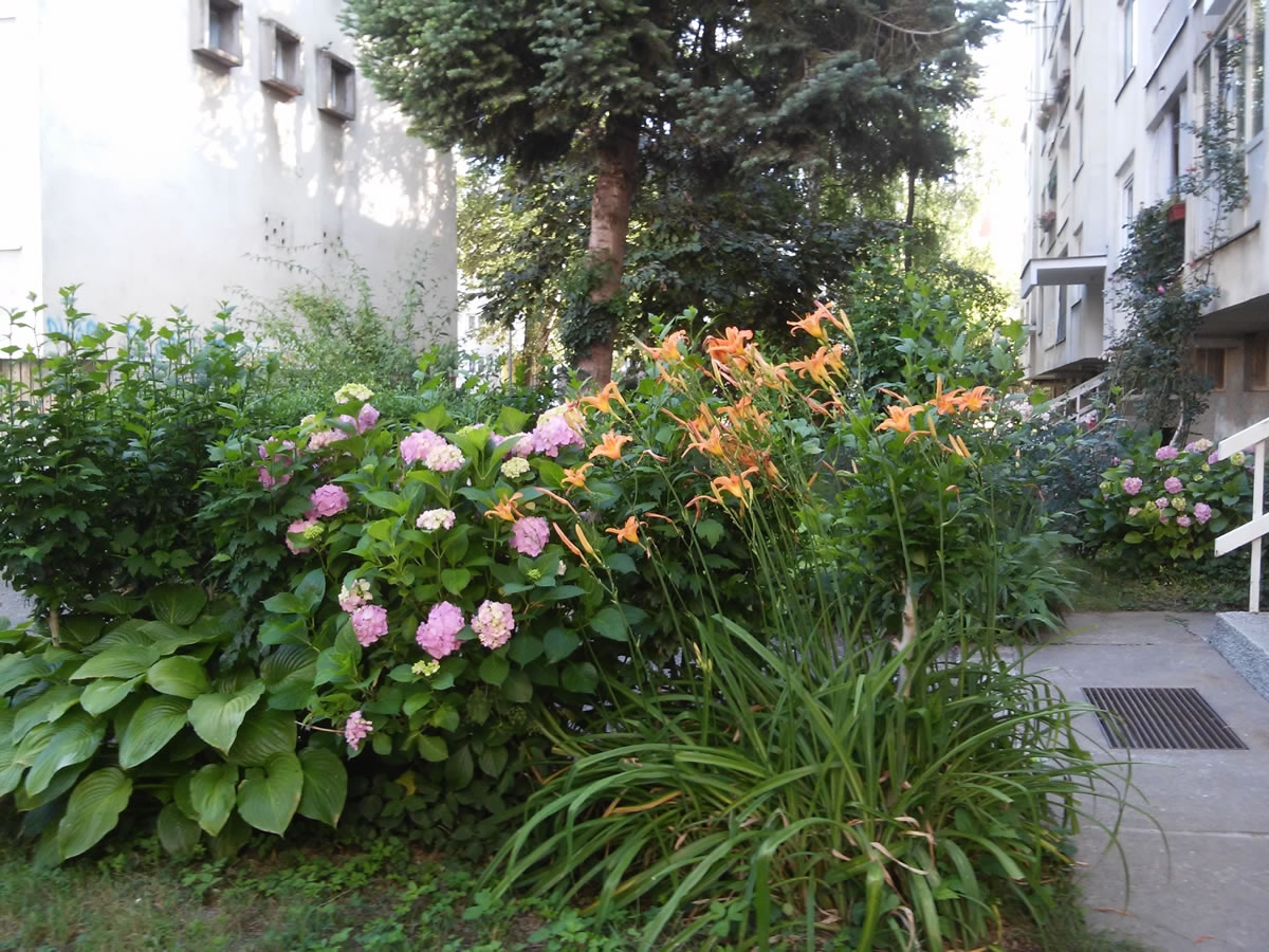 OKOM KAMERE Može i drugačije (FOTO)