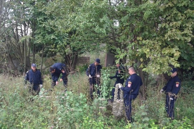 TRAGEDIJA U PETROVU: Stablo usmrtilo starca