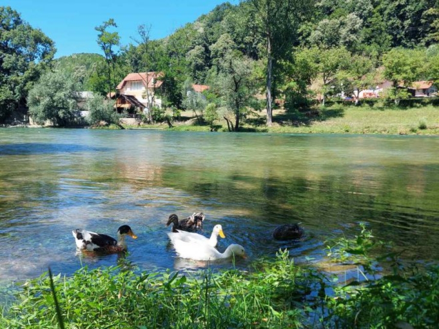 VRIJEME: I danas natprosječno toplo, do 31 stepen celzijusov