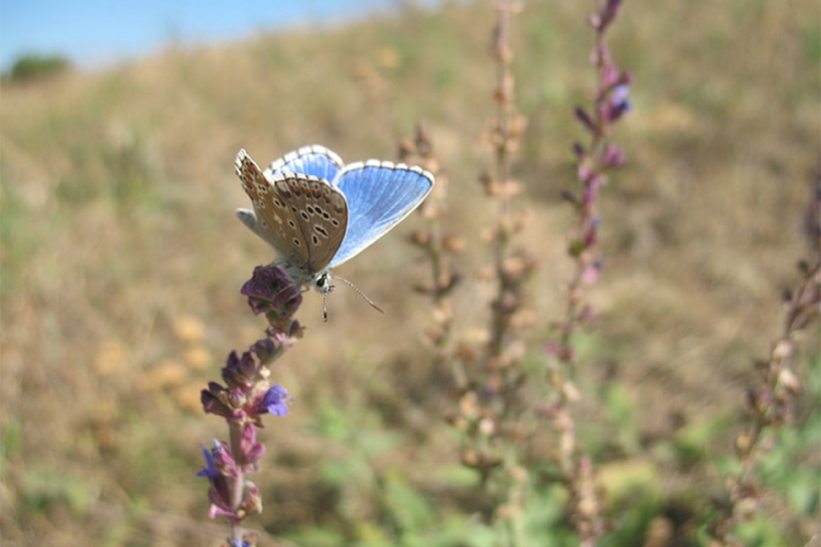 Sutra počinje ljeto