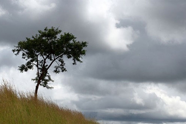 VRIJEME: Danas oblačno, predveče kiša
