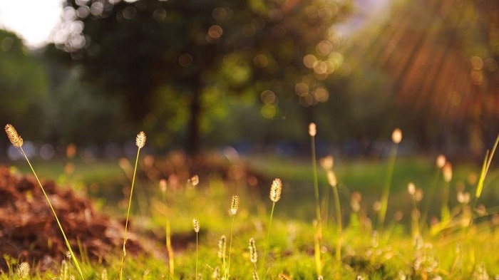 VRIJEME: I sutra sunčano i toplo