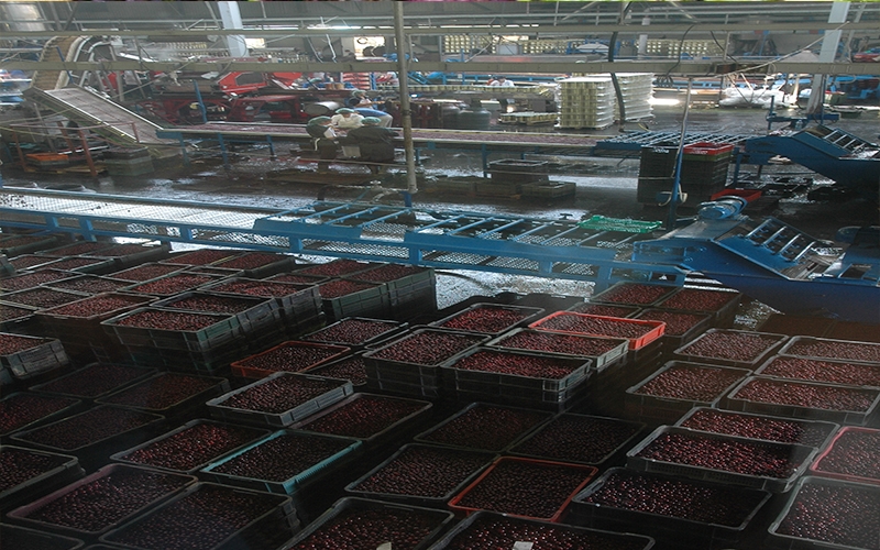 DOBOJ: Finalizovanje ulaganja u fabriku za preradu voća