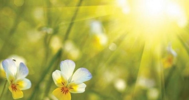 VRIJEME: Danas sunačno, ali svježe za početak ljeta